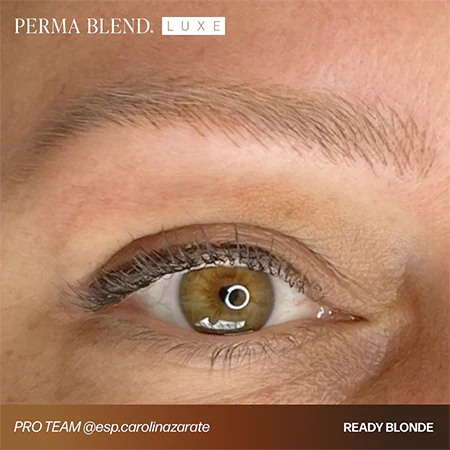 Perma Blend - Luxe Pigments - Ready Blonde, 15ml