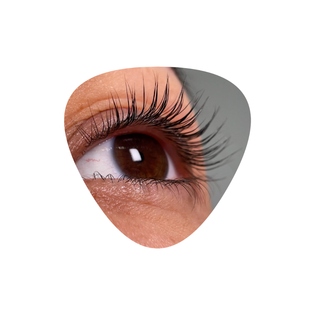 InLei® - FORMA UP Universal Eyelash Shields - 1 Pair (Matte)