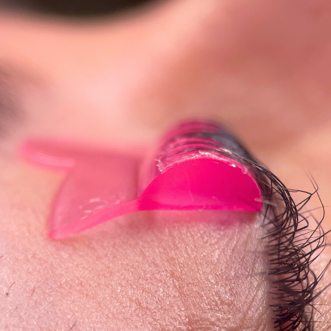 Jelly Bear Lash Lift Shields - Pink
