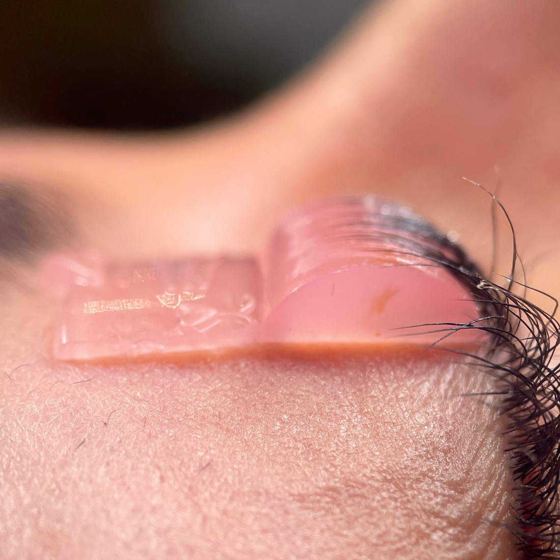 Cat Lash Lift Shields - 7 Pairs