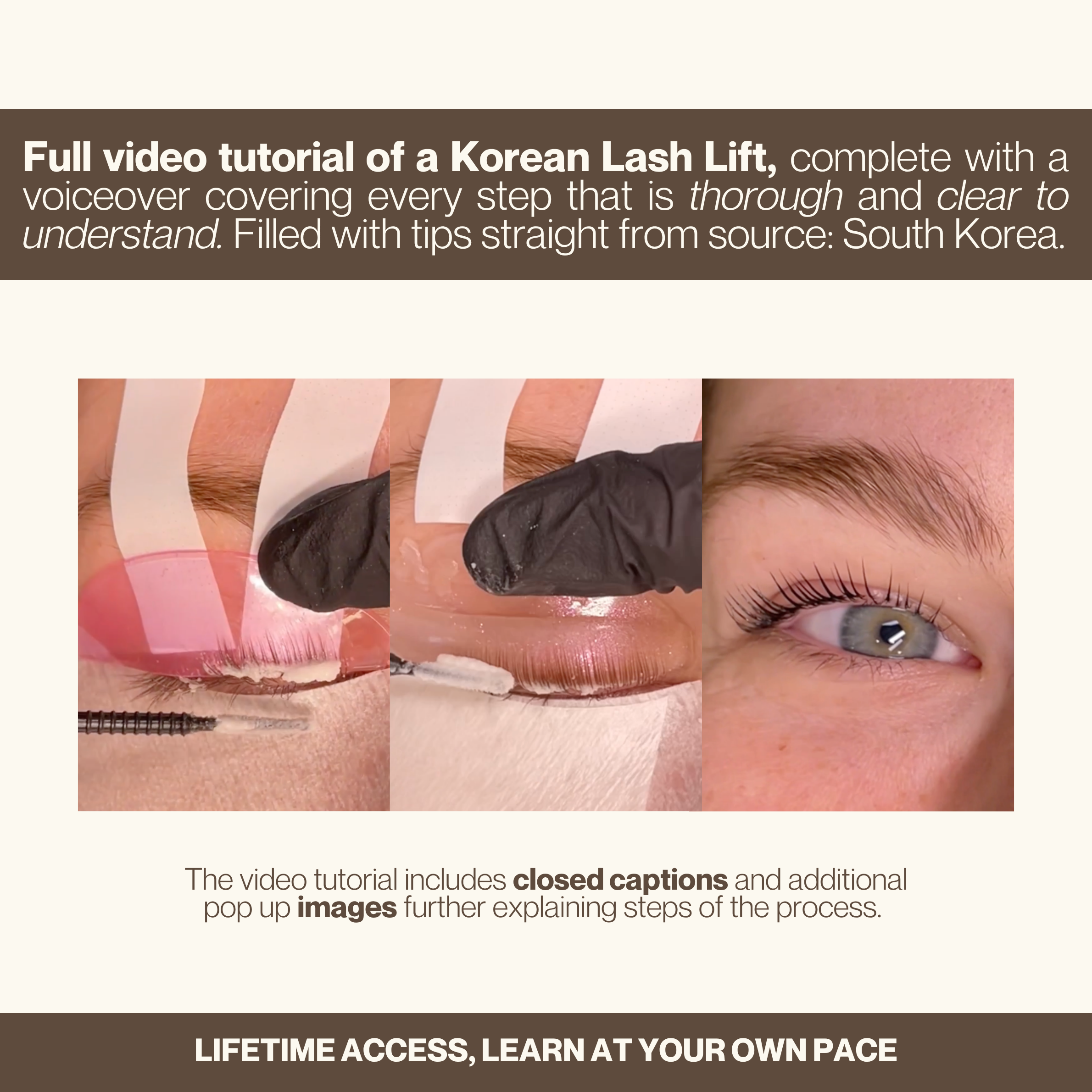 Korean Lash Lifts: Your Authentic Masterclass (online)