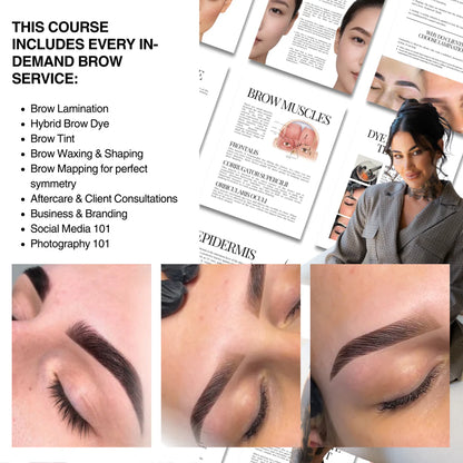 Lash Prodigy - The Ultimate Brow Course